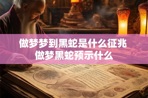 做梦梦到黑蛇是什么征兆 做梦黑蛇预示什么