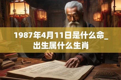 1987年4月11日是什么命_出生属什么生肖