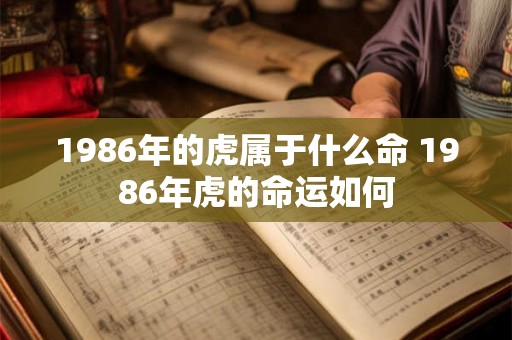 1986年的虎属于什么命 1986年虎的命运如何