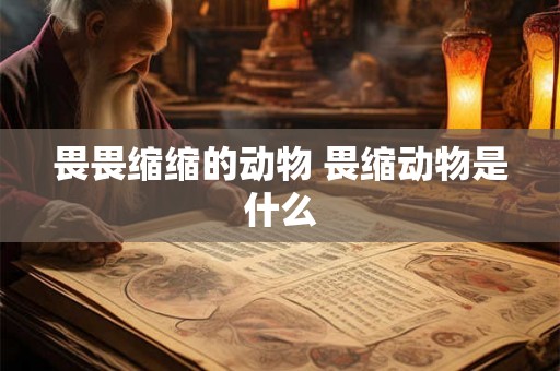 畏畏缩缩的动物 畏缩动物是什么