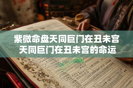 紫微命盘天同巨门在丑未宫 天同巨门在丑未宫的命运 紫微命盘天同巨门在丑未宫 天同巨门在丑未宫的命运