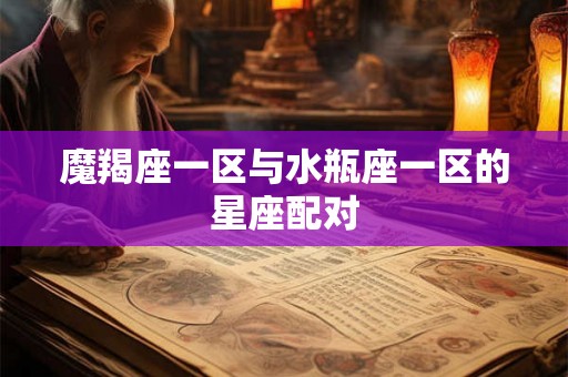 魔羯座一区与水瓶座一区的星座配对