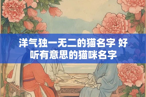 洋气独一无二的猫名字 好听有意思的猫咪名字