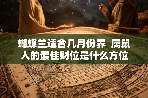 蝴蝶兰适合几月份养  属鼠人的最佳财位是什么方位