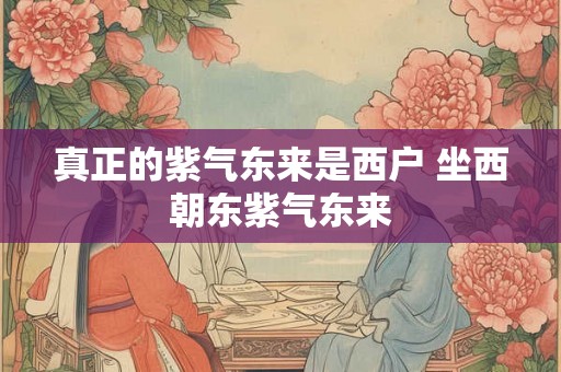 真正的紫气东来是西户 坐西朝东紫气东来