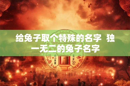 给兔子取个特殊的名字  独一无二的兔子名字