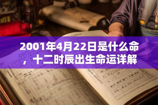 2001年4月22日是什么命，十二时辰出生命运详解