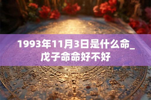 1993年11月3日是什么命_戊子命命好不好