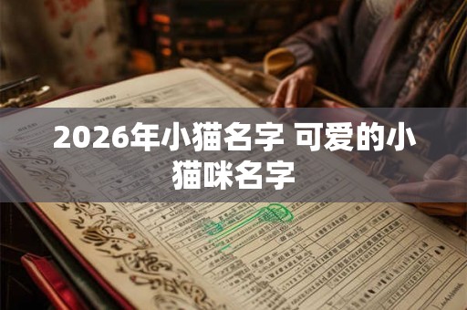 2026年小猫名字 可爱的小猫咪名字 2026年小猫名字 可爱的小猫咪名字