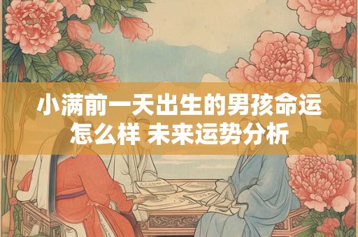 小满前一天出生的男孩命运怎么样 未来运势分析