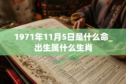 1971年11月5日是什么命_出生属什么生肖