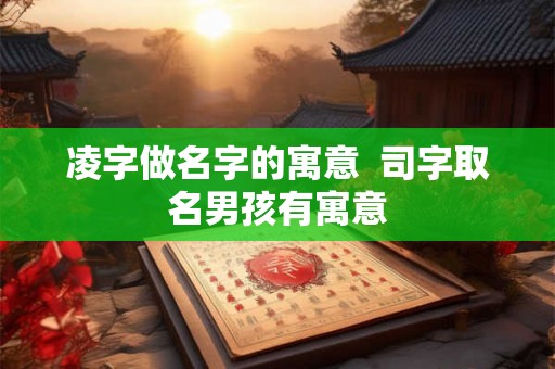 凌字做名字的寓意  司字取名男孩有寓意