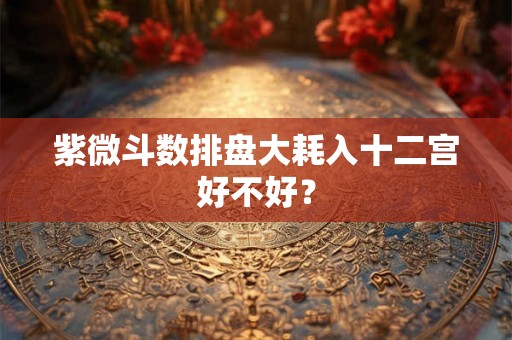 紫微斗数排盘大耗入十二宫好不好？