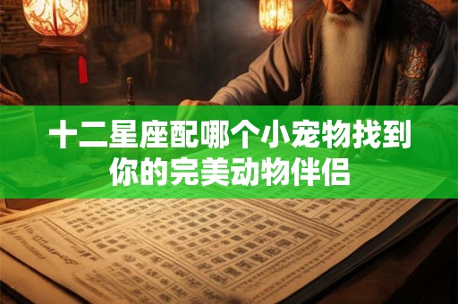 十二星座配哪个小宠物找到你的完美动物伴侣