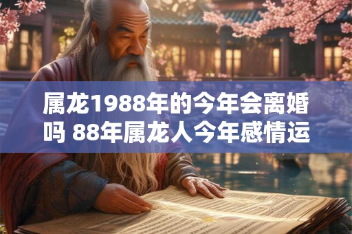 属龙1988年的今年会离婚吗 88年属龙人今年感情运