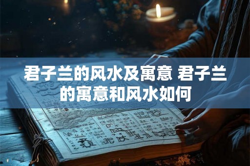 君子兰的风水及寓意 君子兰的寓意和风水如何 君子兰的风水及寓意 君子兰的寓意和风水如何