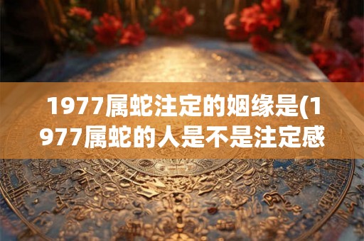 1977属蛇注定的姻缘是(1977属蛇的人是不是注定感情不顺？)