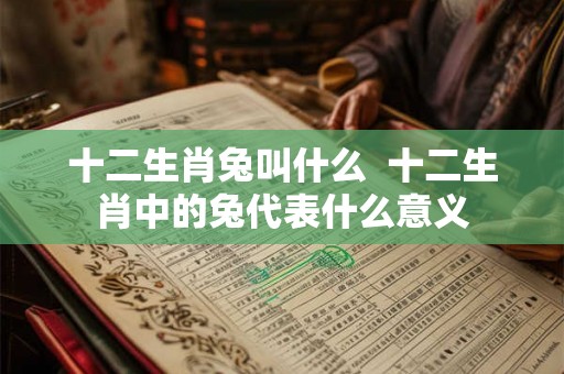 十二生肖兔叫什么  十二生肖中的兔代表什么意义