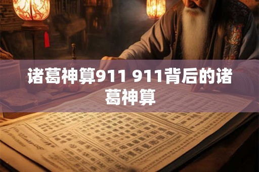 诸葛神算911 911背后的诸葛神算