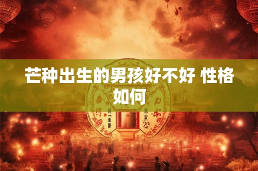 芒种出生的男孩好不好 性格如何