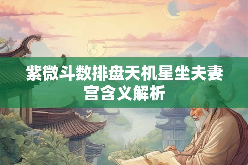 紫微斗数排盘天机星坐夫妻宫含义解析