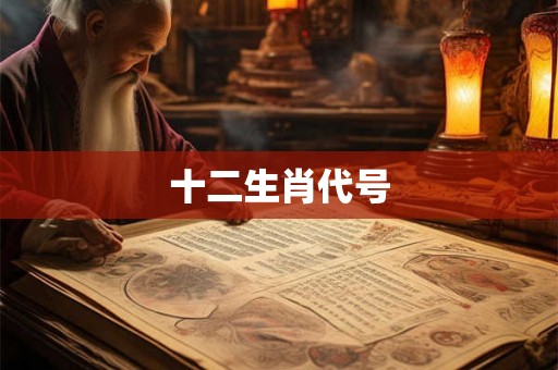 十二生肖代号