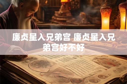 廉贞星入兄弟宫 廉贞星入兄弟宫好不好