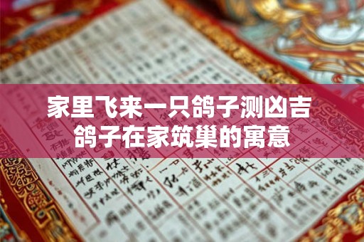 家里飞来一只鸽子测凶吉 鸽子在家筑巢的寓意