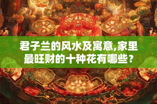 君子兰的风水及寓意,家里最旺财的十种花有哪些？