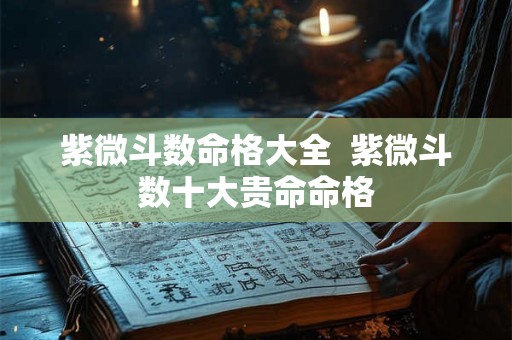 紫微斗数命格大全  紫微斗数十大贵命命格