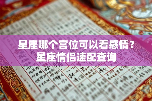 星座哪个宫位可以看感情？星座情侣速配查询