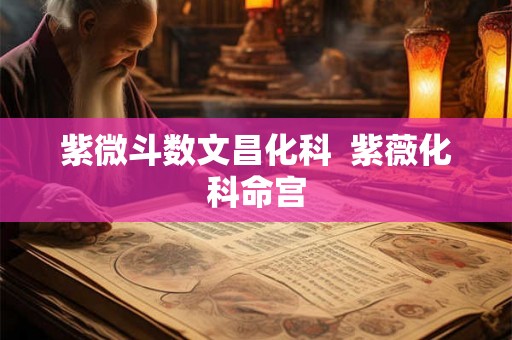 紫微斗数文昌化科 紫薇化科命宫 紫微斗数文昌化科 紫薇化科命宫