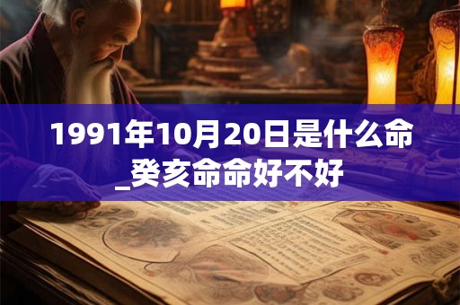 1991年10月20日是什么命_癸亥命命好不好