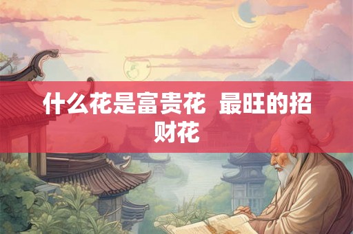 什么花是富贵花  最旺的招财花