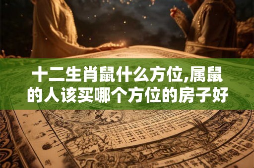 十二生肖鼠什么方位,属鼠的人该买哪个方位的房子好？什么