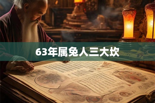 63年属兔人三大坎 63年属兔人三大坎