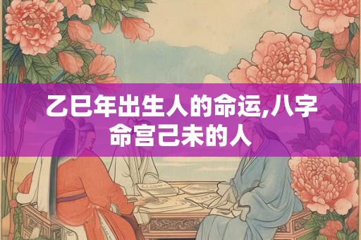 乙巳年出生人的命运,八字命宫己未的人