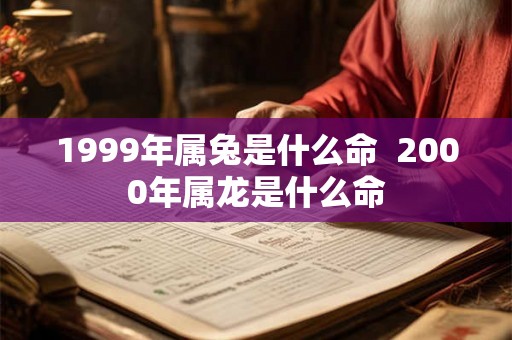 1999年属兔是什么命  2000年属龙是什么命