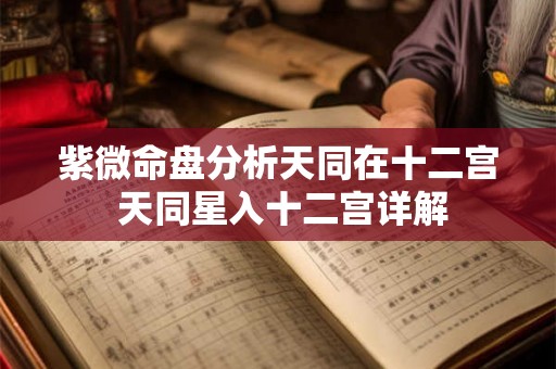 紫微命盘分析天同在十二宫 天同星入十二宫详解
