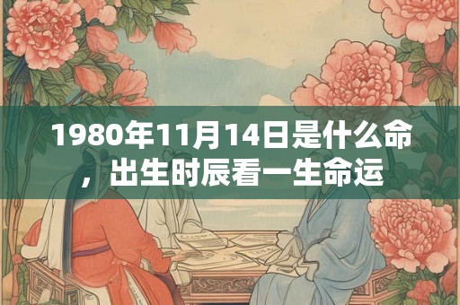 1980年11月14日是什么命，出生时辰看一生命运