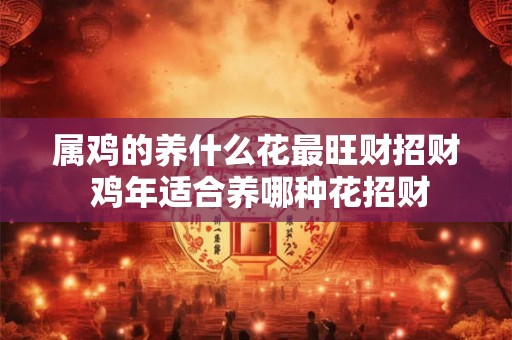 属鸡的养什么花最旺财招财 鸡年适合养哪种花招财