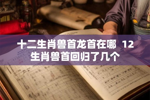 十二生肖兽首龙首在哪 12生肖兽首回归了几个 十二生肖兽首龙首在哪 12生肖兽首回归了几个