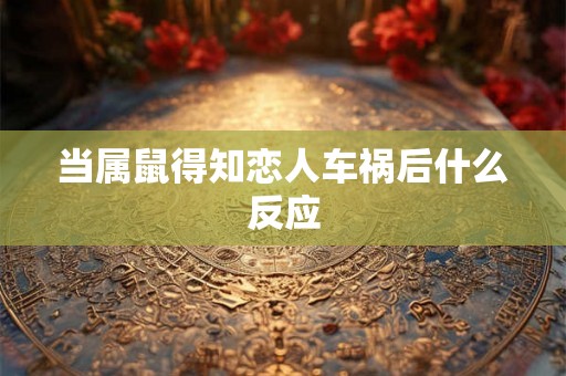 当属鼠得知恋人车祸后什么反应