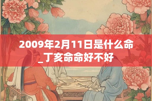 2009年2月11日是什么命_丁亥命命好不好