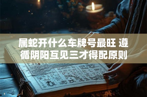 属蛇开什么车牌号最旺 遵循阴阳互见三才得配原则