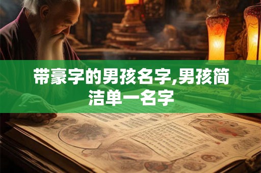 带豪字的男孩名字,男孩简洁单一名字