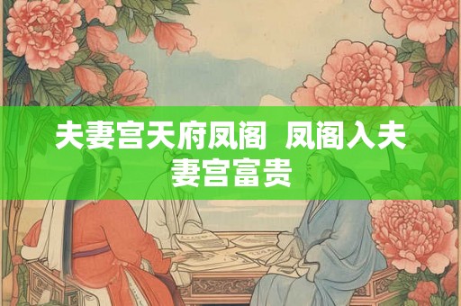 夫妻宫天府凤阁  凤阁入夫妻宫富贵