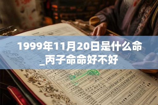 1999年11月20日是什么命_丙子命命好不好