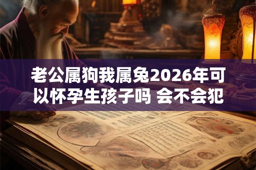 老公属狗我属兔2026年可以怀孕生孩子吗 会不会犯冲 老公属狗我属兔2026年可以怀孕生孩子吗 会不会犯冲