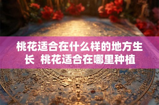 桃花适合在什么样的地方生长  桃花适合在哪里种植